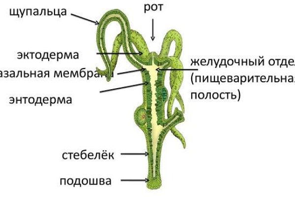 Кракен оригинальный