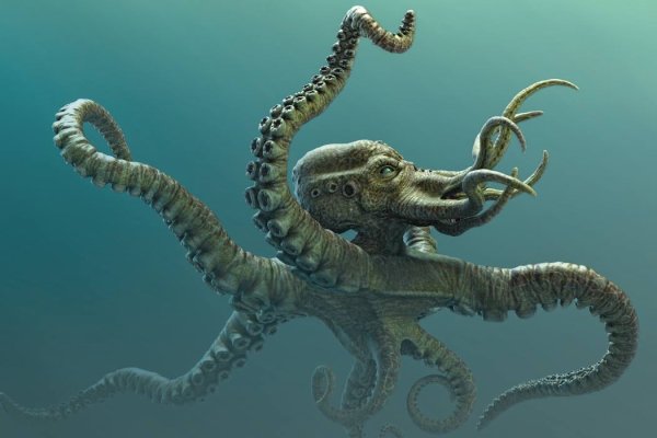 Kraken v2